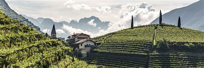 Weinberge werden in Südtirol ihrem Namen gerecht!