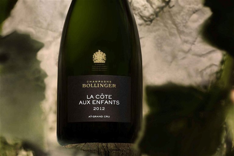 Champagne Bollinger Côte aux Enfants 2012
