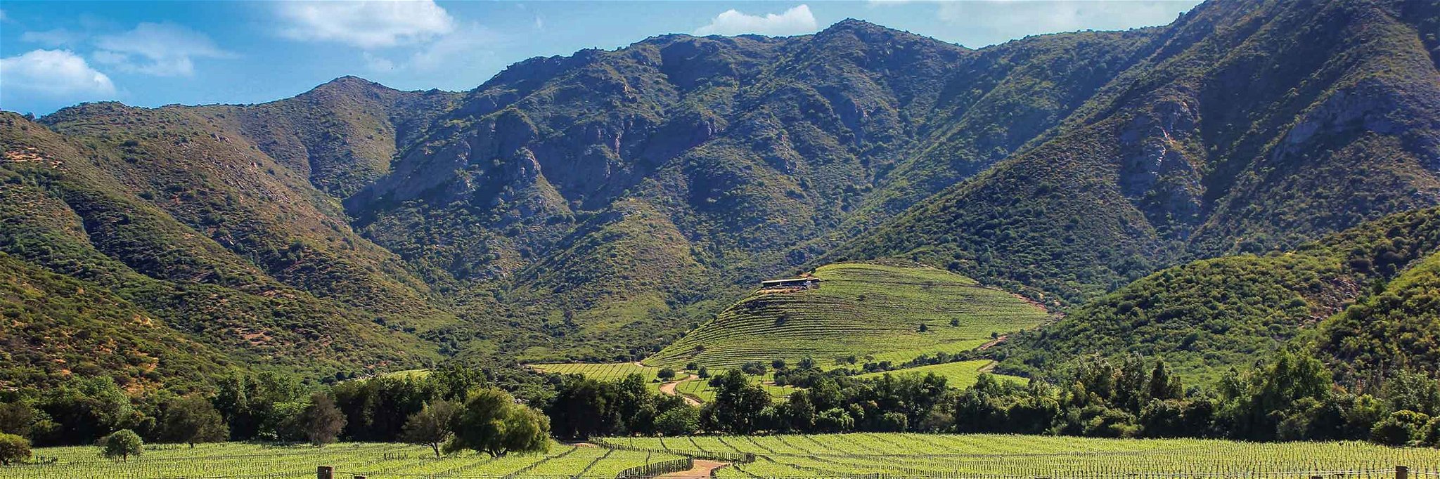 The Viña Seña vineyard in Aconcagua Valley, Chile