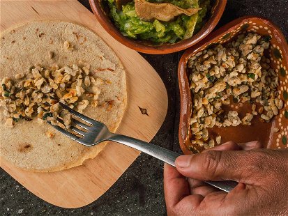 Escamoles machen&nbsp;sich hervorragend in frischen&nbsp;Tacos, Tortillas, Omelettes oder Salsa und passen&nbsp;natürlich perfekt zu&nbsp;Guacamole.
