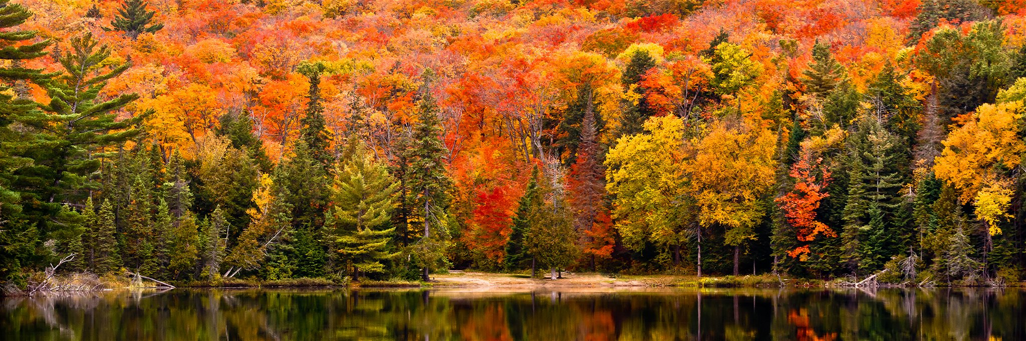 Algonquin Park, Ontario, is a perfect place for leaf-peeping.