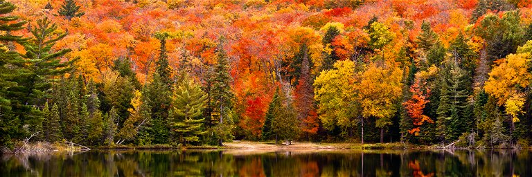 Algonquin Park, Ontario, is a perfect place for leaf-peeping.
