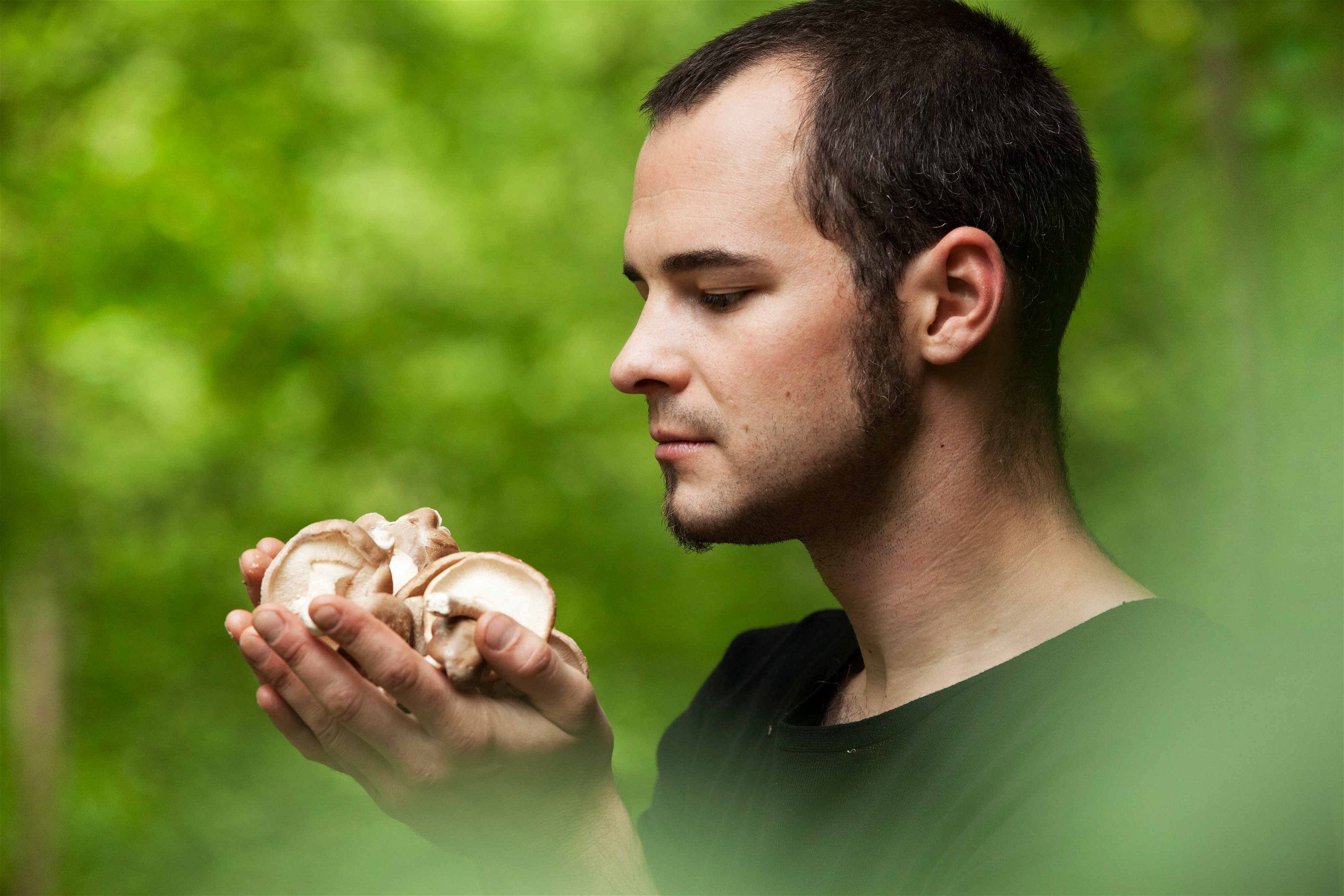 Mark Stüttler glaubt fest an die Heilkraft von Pilzen.