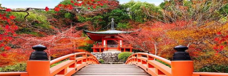 Japan is aiming fully reopen the country to international tourism this autumn
