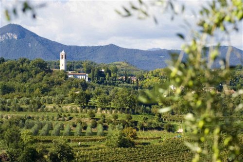 In the hinterland: the cultivation of olives and wine characterises the lovely landscape.