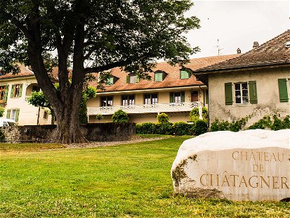 Château de&nbsp;Châtagneréaz