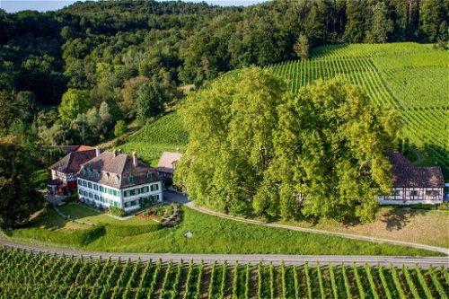 Auf dem Schlossgut Bachtobel bei Weinfelden im Kanton Thurgau entsteht seit ein paar Jahren auch erstklassiger Schaumwein.