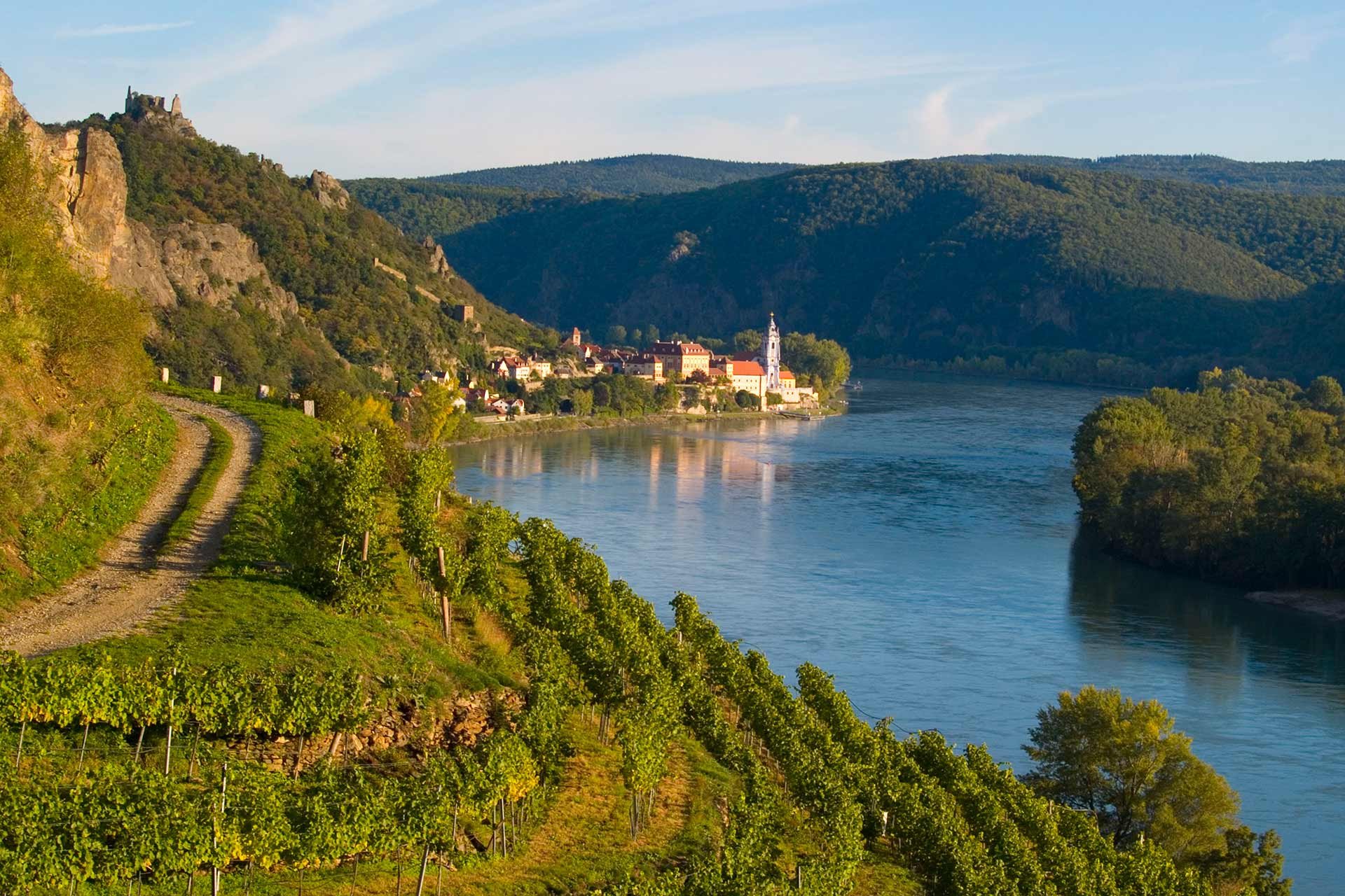 Für Weinkenner ein Muss, für alle anderen eine starke Empfehlung: der Donau nachspüren, die hier durch die Wachau führt.&nbsp;