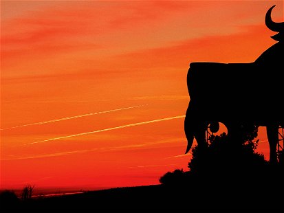 Der Osborne-Stier, ein bekanntes Symbol Spaniens. In der Region Rioja sind heute zwei davon zu finden.