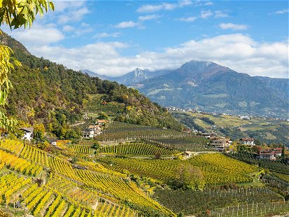 Südtirol wartet mit bemerkenswerten Weinen auf.