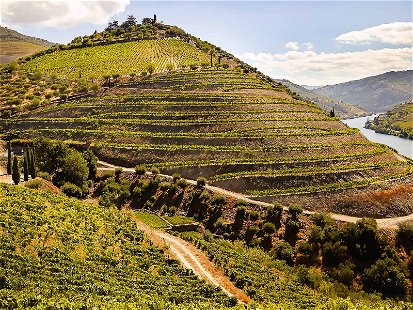 Der Douro schlängelt sich auf knapp 900 Kilometern Länge durch den Norden der iberischen Halbinsel.
