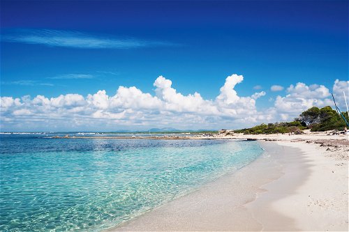 Die karibisch anmutende Playa es Trenc an der Südküste gehört zu den schönsten Stränden Mallorcas. Aus der Region stammt auch das gleichnamige Salz – ein beliebtes Mitbringsel.