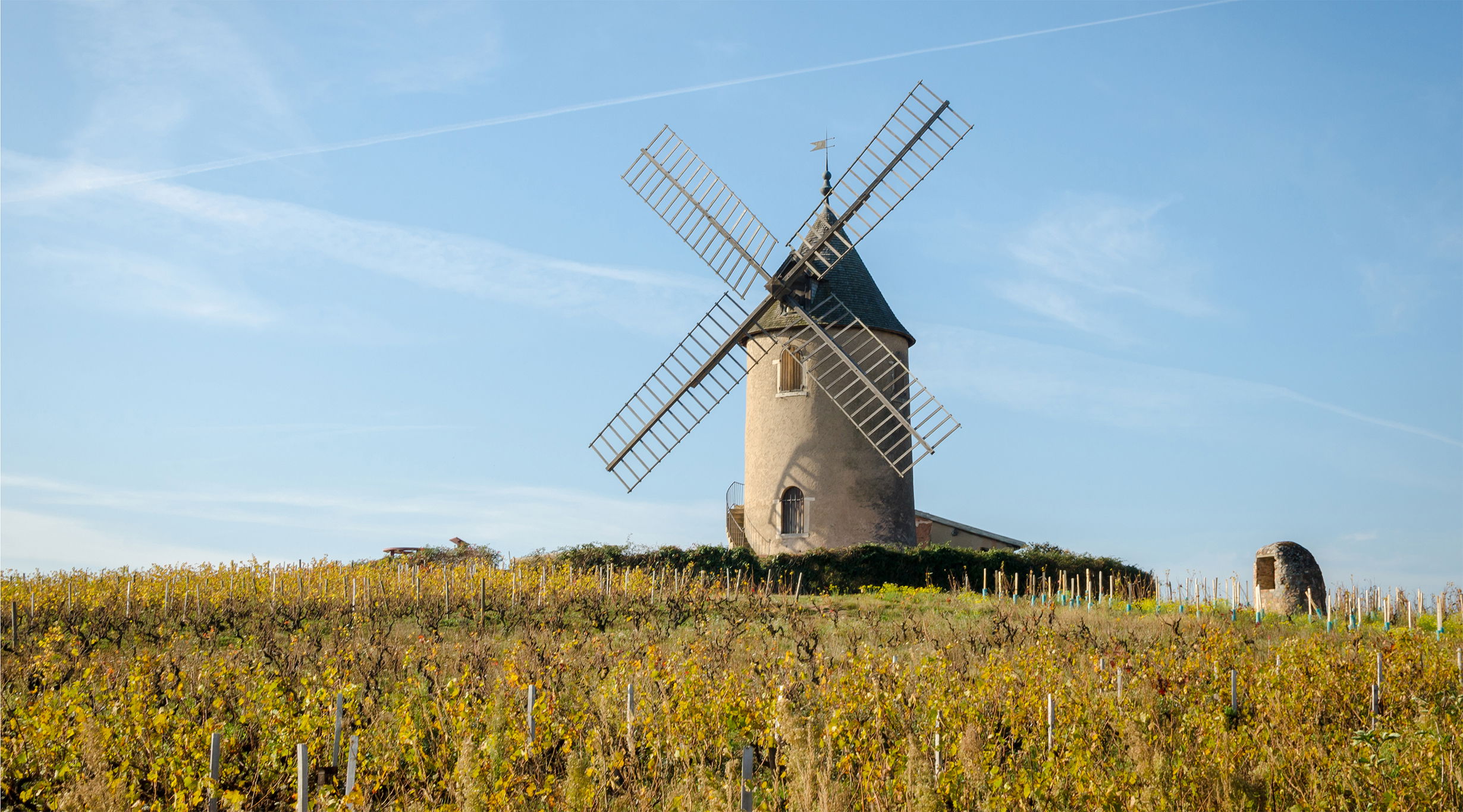 Beyond the Nouveau: exploring the subtle complexities of Beaujolais’ 10 ...