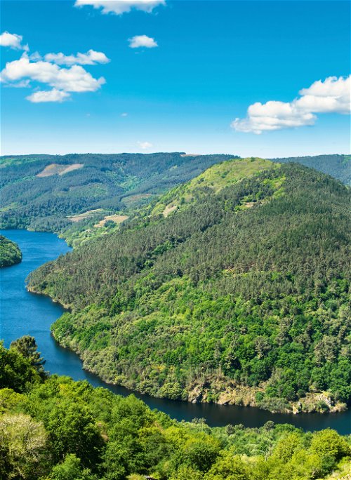 The Sil river winds through the gorges of Ribeira Sacra, considered to be the oldest wine-growing area in Spain.