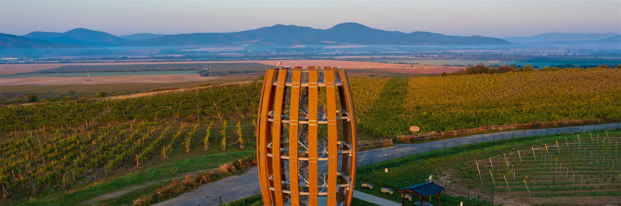 The lookout tower in the wine region of Tokaj, where Furmint grapes grow.