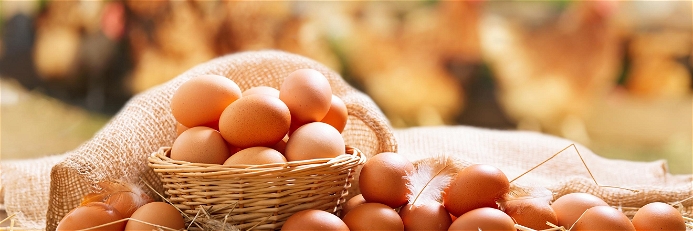 Jeder Deutsche verzehrt im Schnitt rund 238 Eier pro Jahr.