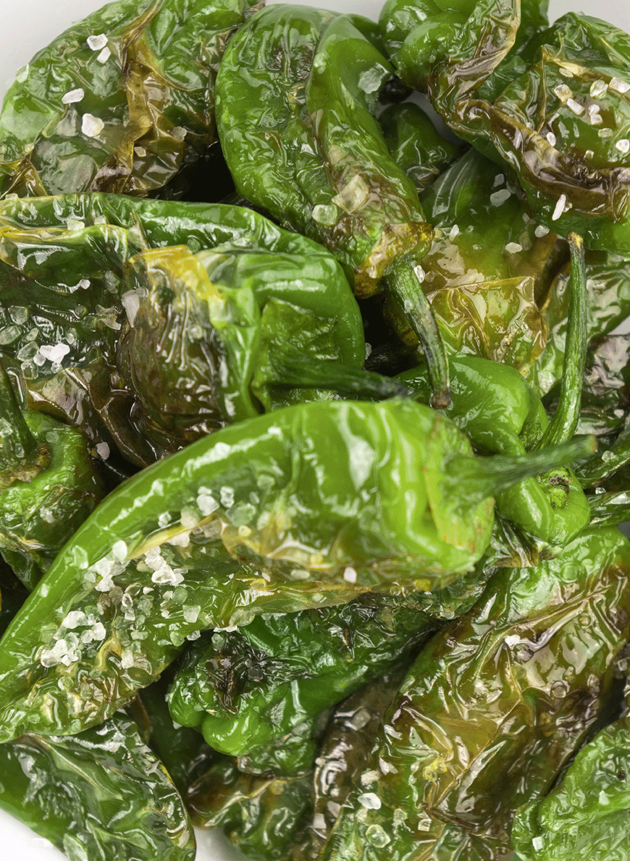 Die kleinen grünen Paprika, scharf angebraten und mit etwas Olivenöl und Salz, kommen aus der galicischen Ortschaft Padrón.