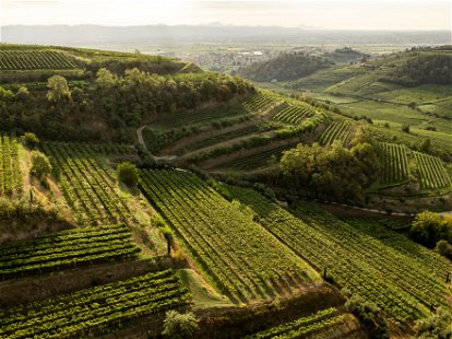 Sonnige Soave-Terrassen im Osten von Verona
©&nbsp;Weingut&nbsp;Prà
