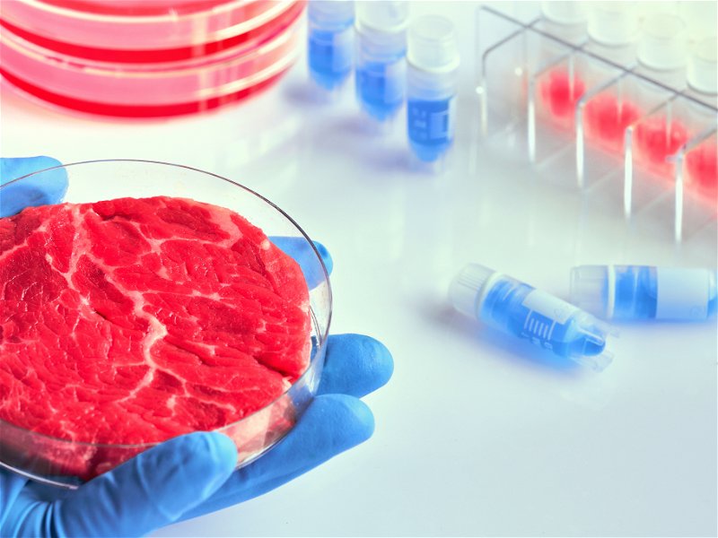 Cultivated meat and other foods grown from animal cells are no longer merely theoretical.