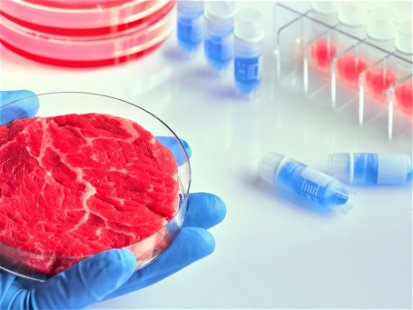 Cultivated meat and other foods grown from animal cells are no longer merely theoretical.