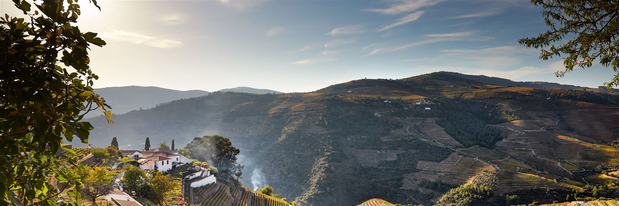Auf den Berghängen des Douros und seiner Nebenflüsse wachsen auf verwittertem Granit die Trauben für den Portwein.