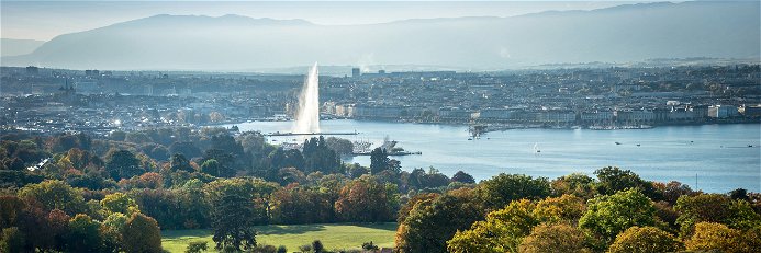 Der Rebbau beginnt in Genf unmittelbar vor den Toren der Stadt.