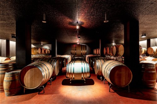 Hier reift einer der besten Chardonnays der Schweiz: Keller des Weinguts Wegelin in Malans.