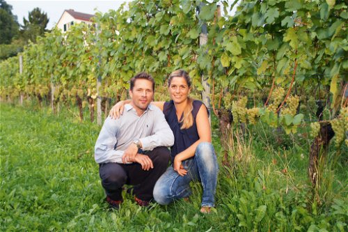 Diederik und Patricia Michel vom Weingut Diederik arbeiten erfolgreich mit der Piwi-Sorte Souvignier Gris.