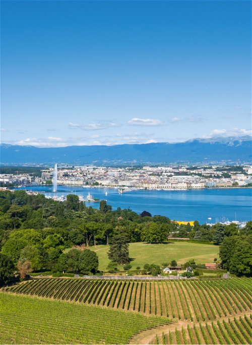 Das Genfer Weingebiet startet unmittelbar vor den Toren der Stadt. Der lokale Wein wird zum grössten Teil in der Region getrunken.