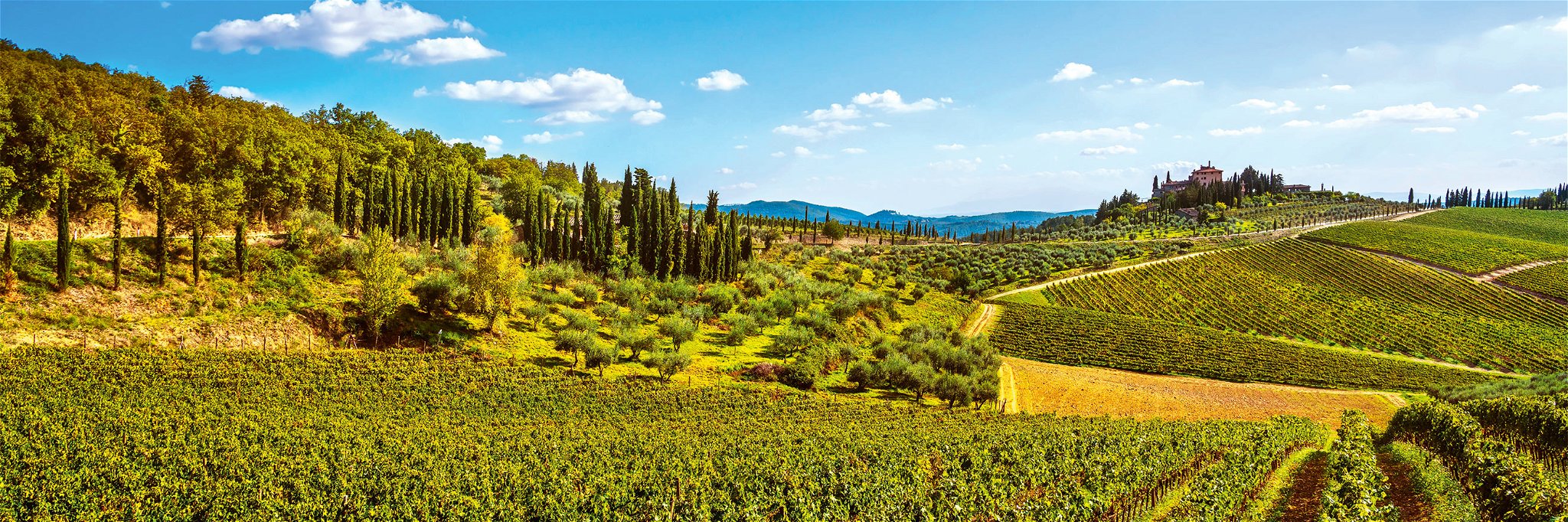 Wald und Weinberge prägen die Landschaft des Chianti Classico.