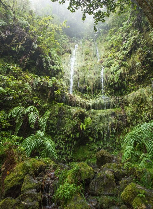 Raus aus der Stadt, rein in die üppig-grüne Natur – ein Wasserfall auf dem Weg zum »Grünen Kessel«.