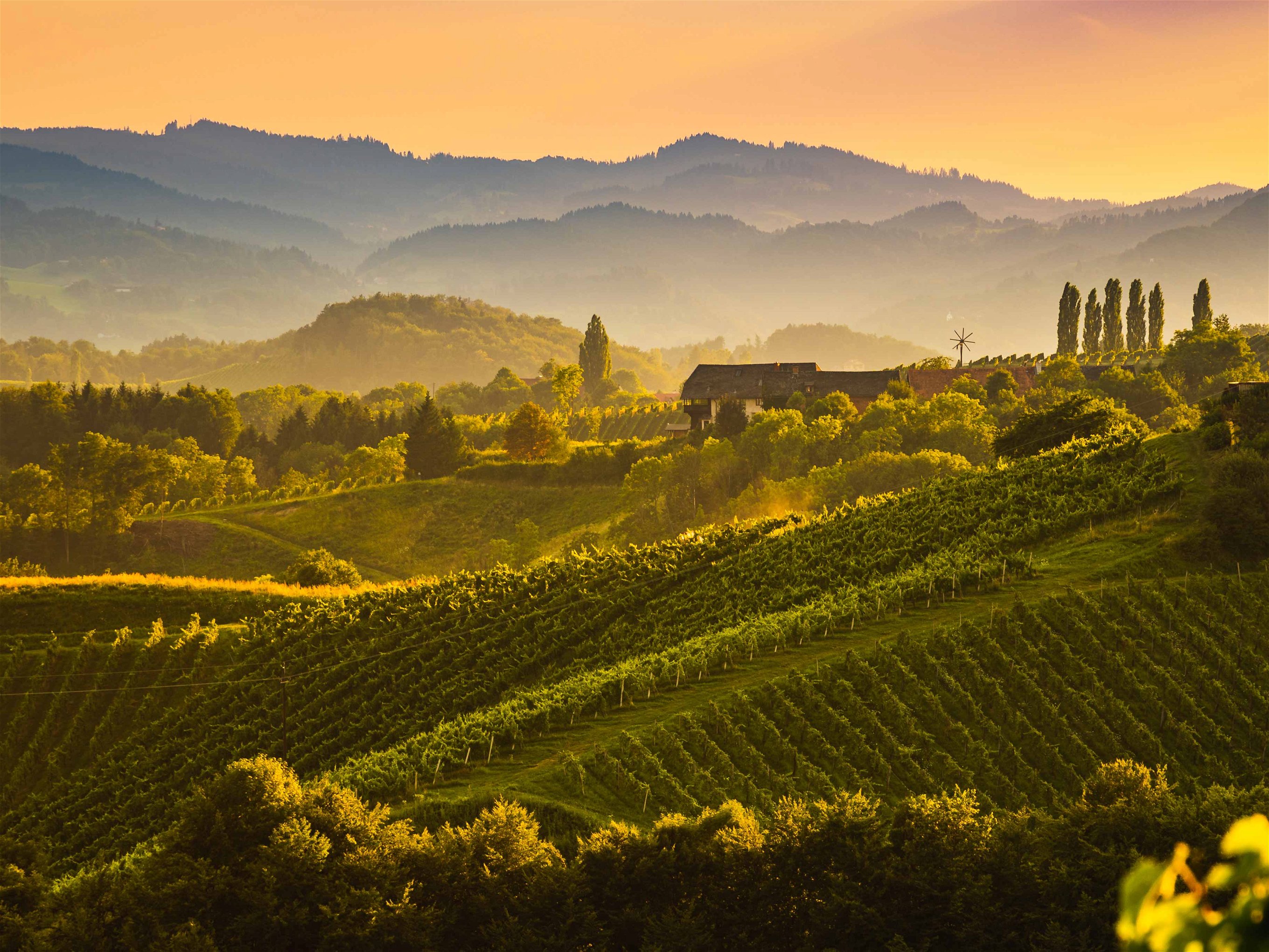 Die Südsteiermark&nbsp;mit ihren idyllischen Buschenschenken gehört zu den beliebtesten Weinbaugebieten Österreichs.