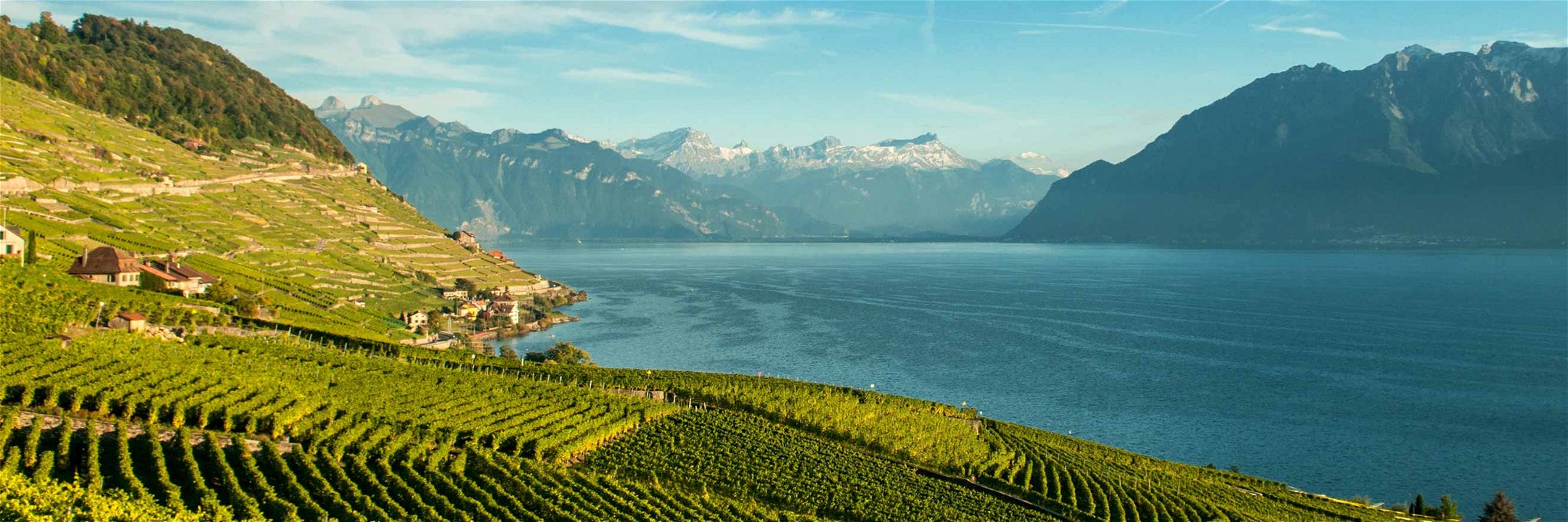 Das Lavaux am Genfersee zählt zu den schönsten Weinregionen der Schweiz.