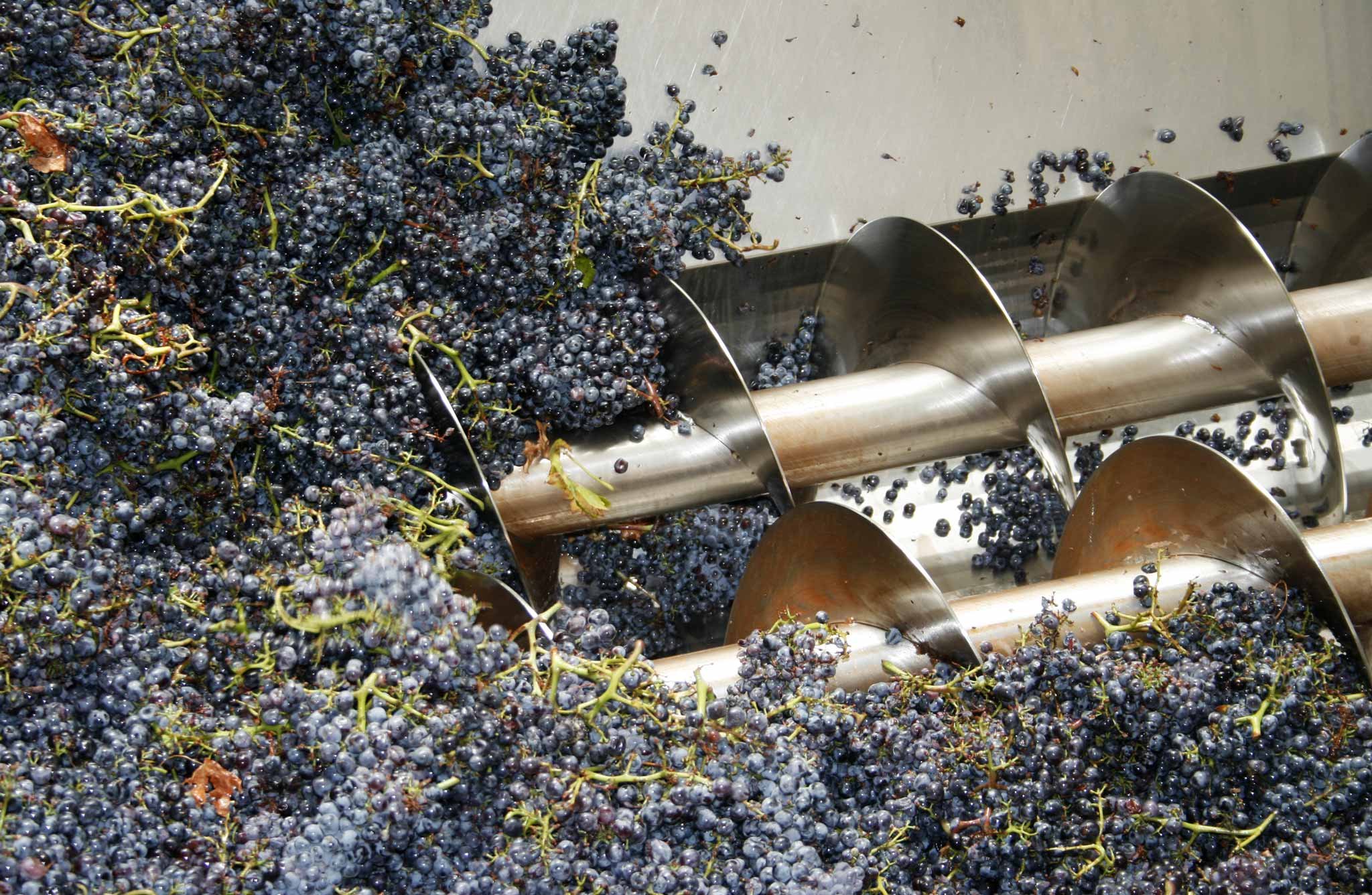 Selbst modernste Kellertechnik kann nicht hundertprozentig verhindern, dass mit den Beeren auch einmal ein Insekt in die Weinpresse gerät. Auf den Status eines Weines als vegan oder nicht vegan hat diese Tatsache aber keinerlei Auswirkung.