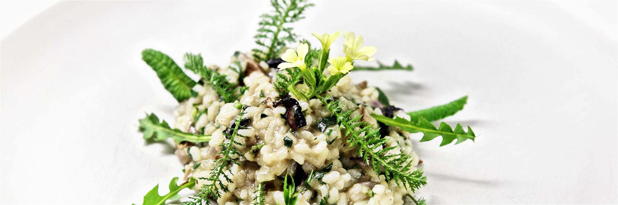Risotto with Spring Herbs