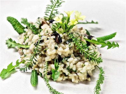 Risotto with Spring Herbs