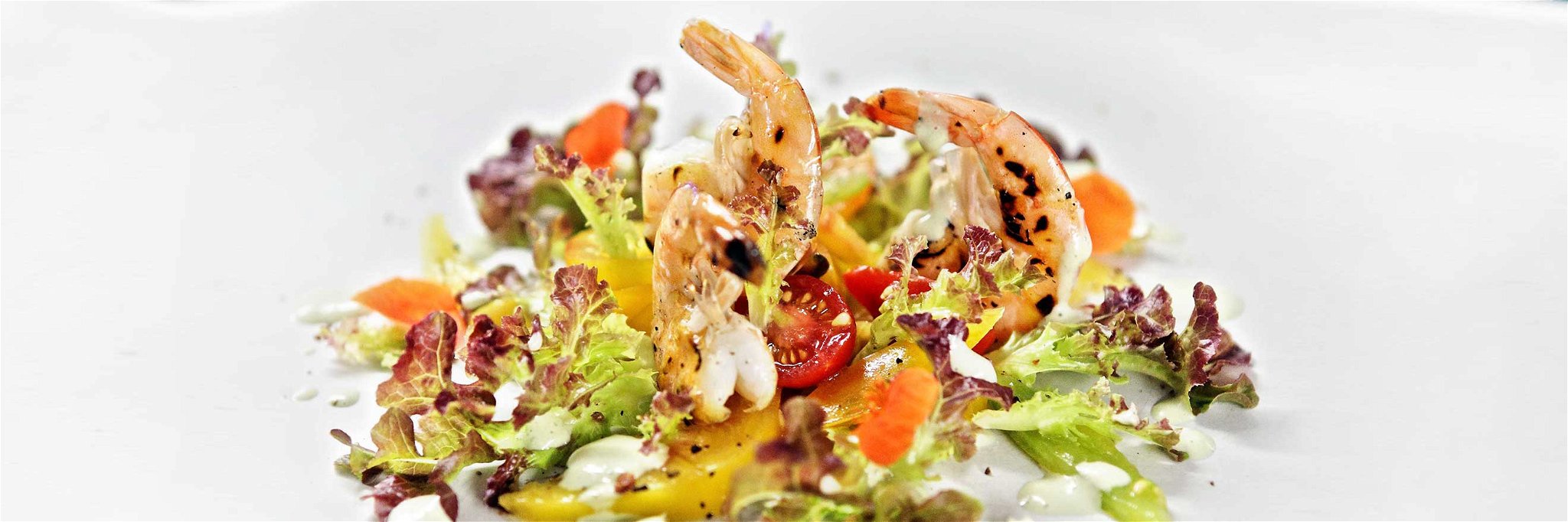 Prawns on Tomato &amp; Oak Leaf Salad