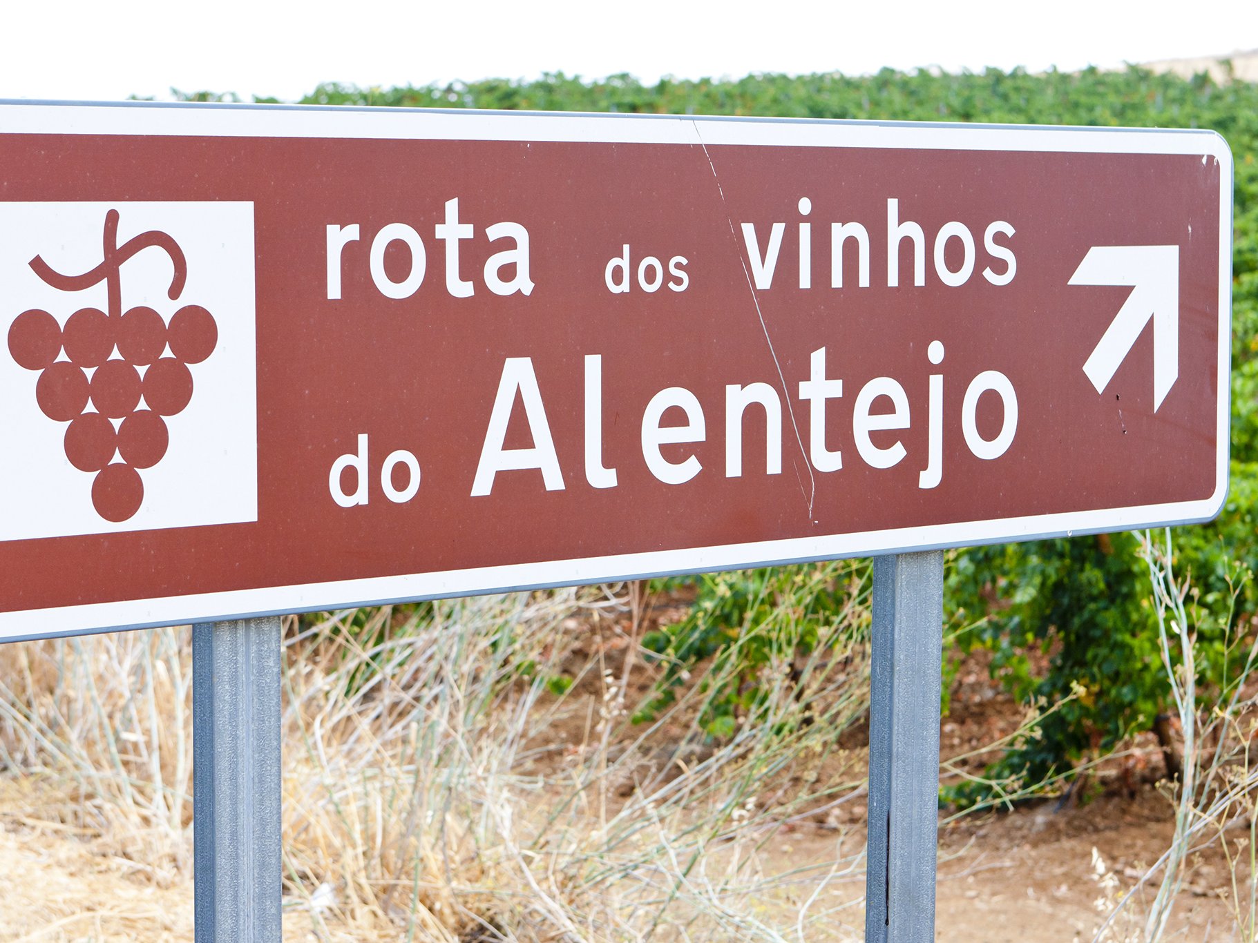 Alentejo wine region, Portugal.
