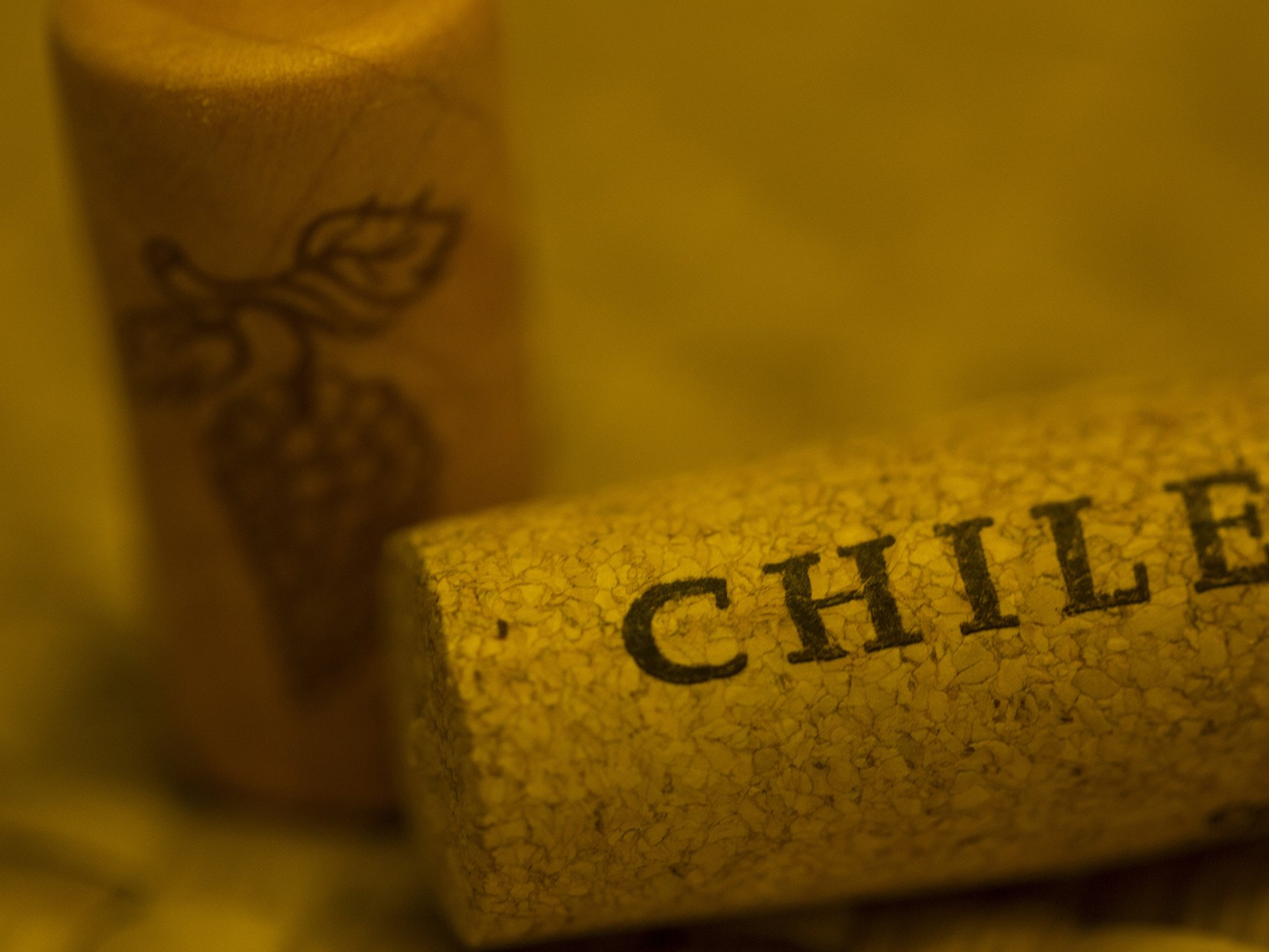 Chile is the fifth largest exporter of wines in the world.