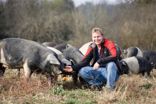 Norbert Hackl und seine Sonnenschweine vom Biohof Labonca. «Fleisch wird immer mehr zum Genussprodukt und weniger ein Massenprodukt.»