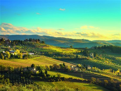 Die Hügel um Florenz sind hervorragendes Weinbauland. Chianti ist hier der prägende Wein. 