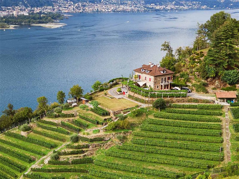 Die Cantine Stucky-Hügin über dem Lago Maggiore. Werner Stucky legte in den 1980er-Jahren den Grundstein für den Qualitätsweinbau im Tessin. 