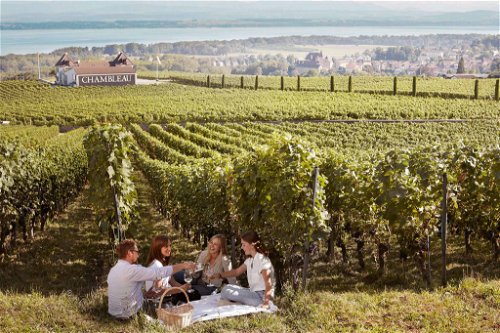 Die Domaine de Chambleau von Familie Burgat befindet sich in Colombier am Neuenburgersee. Hier wachsen einige der besten Pinot Noirs der Schweiz.
