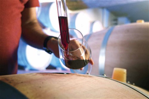 Tamborini Vini gehört zu den klassischen Tessiner Weinbetrieben.