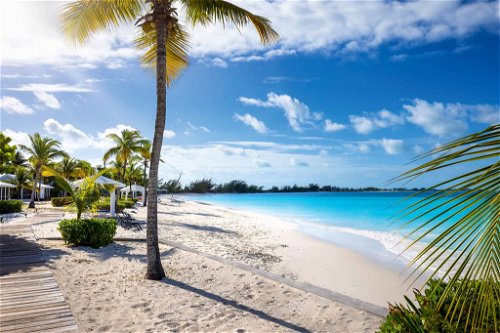 Palmen, Sandstrand, türkisblaues Wasser – und dazu die Bahamas-Spezialität schlechthin...