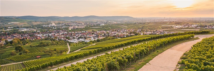 Neben gutem Wein gibt es im Remstal zahlreiche Top-Gastronomien.