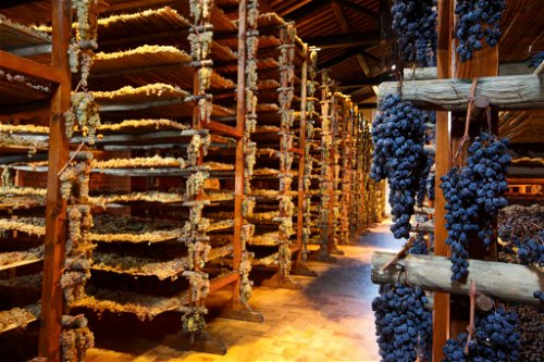 Für den Vin Santo (Bild: Avignonesi) werden die Trauben erst getrocknet, dann wird der Most in kleine Fässchen gefüllt, die versiegelt werden und jahrelang unberührt bleiben.