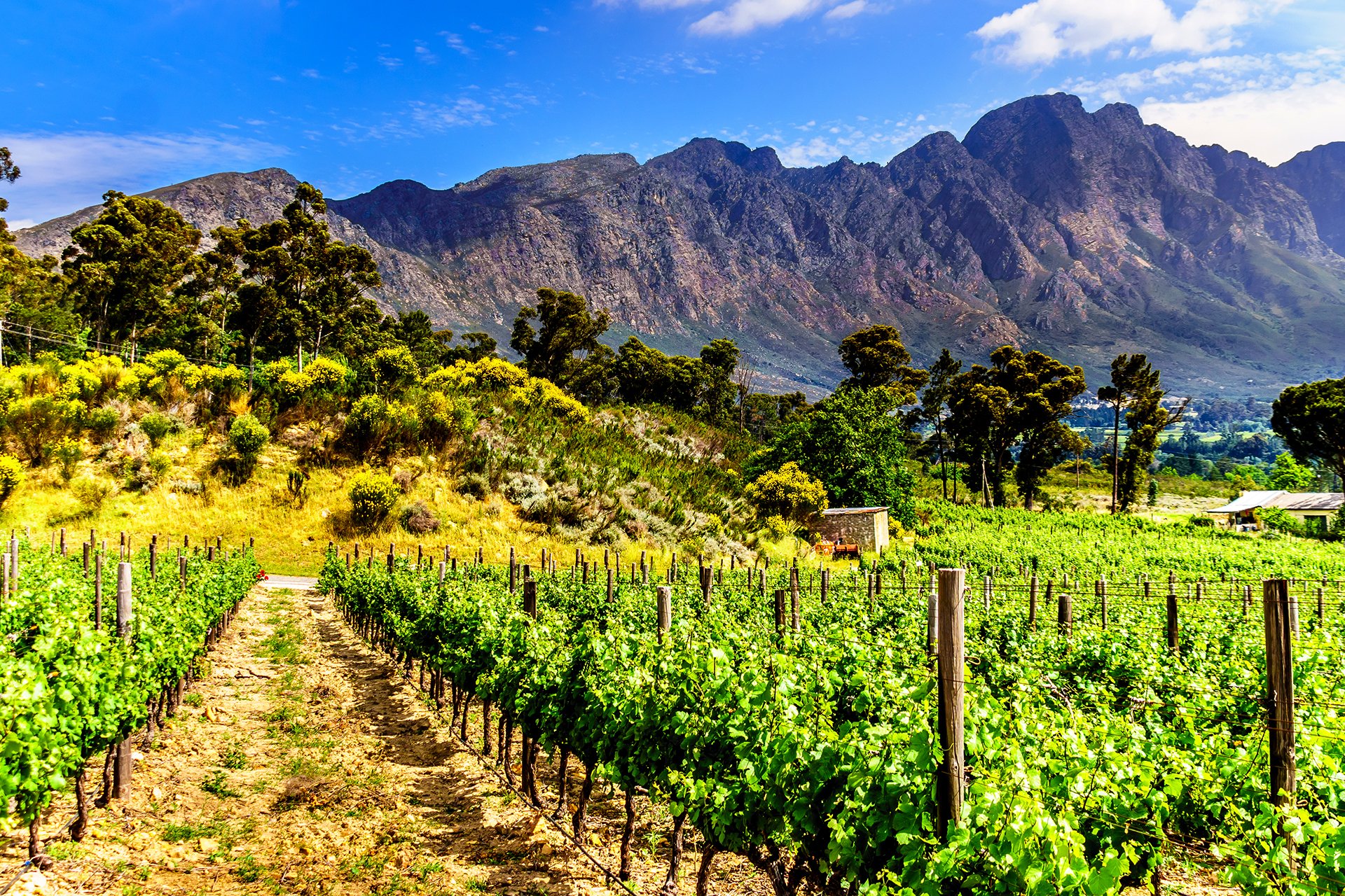 Franschhoek Valley in the Western Cape of South Africa