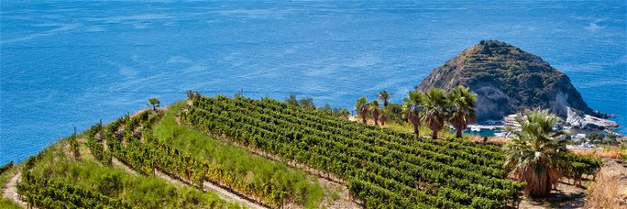 Traumlage: Seit der Zeit der alten Griechen wird auf der Insel Ischia Weinbau betrieben.