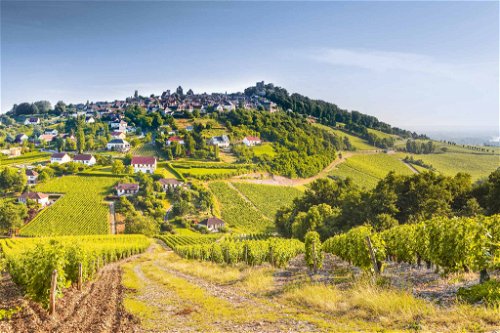 Die Weinberge von Sancerre, in Centre-Val de Loire, sind bekannt für edle Weine und Crémants.